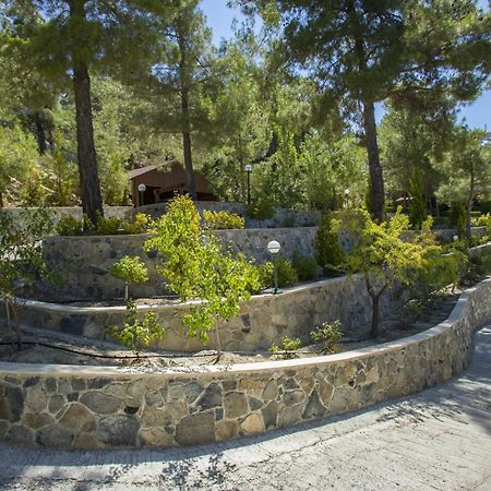 Ricky Chalet Near Troodos Spilia Eksteriør bilde