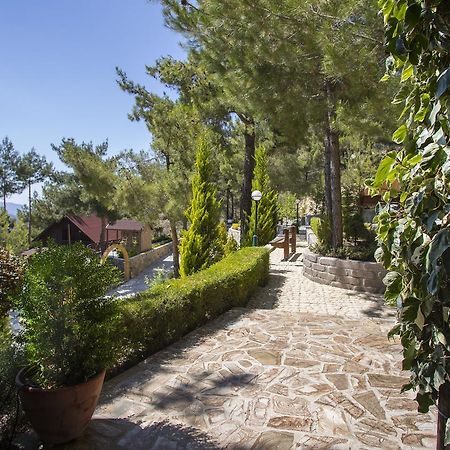 Ricky Chalet Near Troodos Spilia Eksteriør bilde