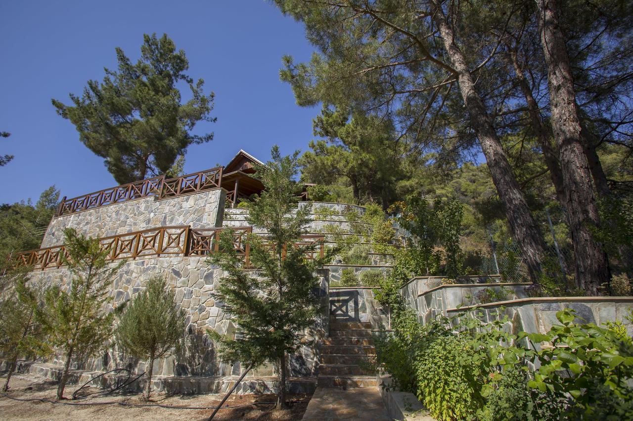 Ricky Chalet Near Troodos Spilia Eksteriør bilde