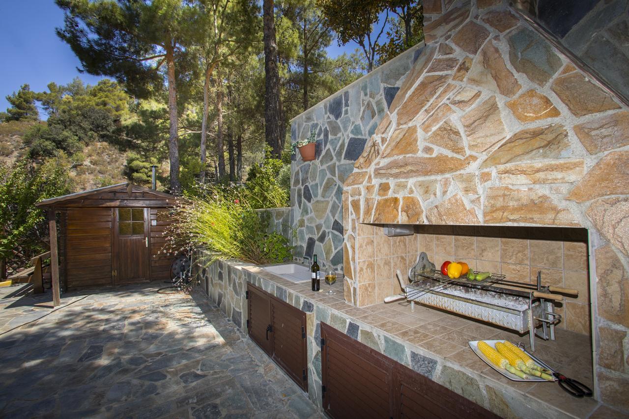 Ricky Chalet Near Troodos Spilia Eksteriør bilde