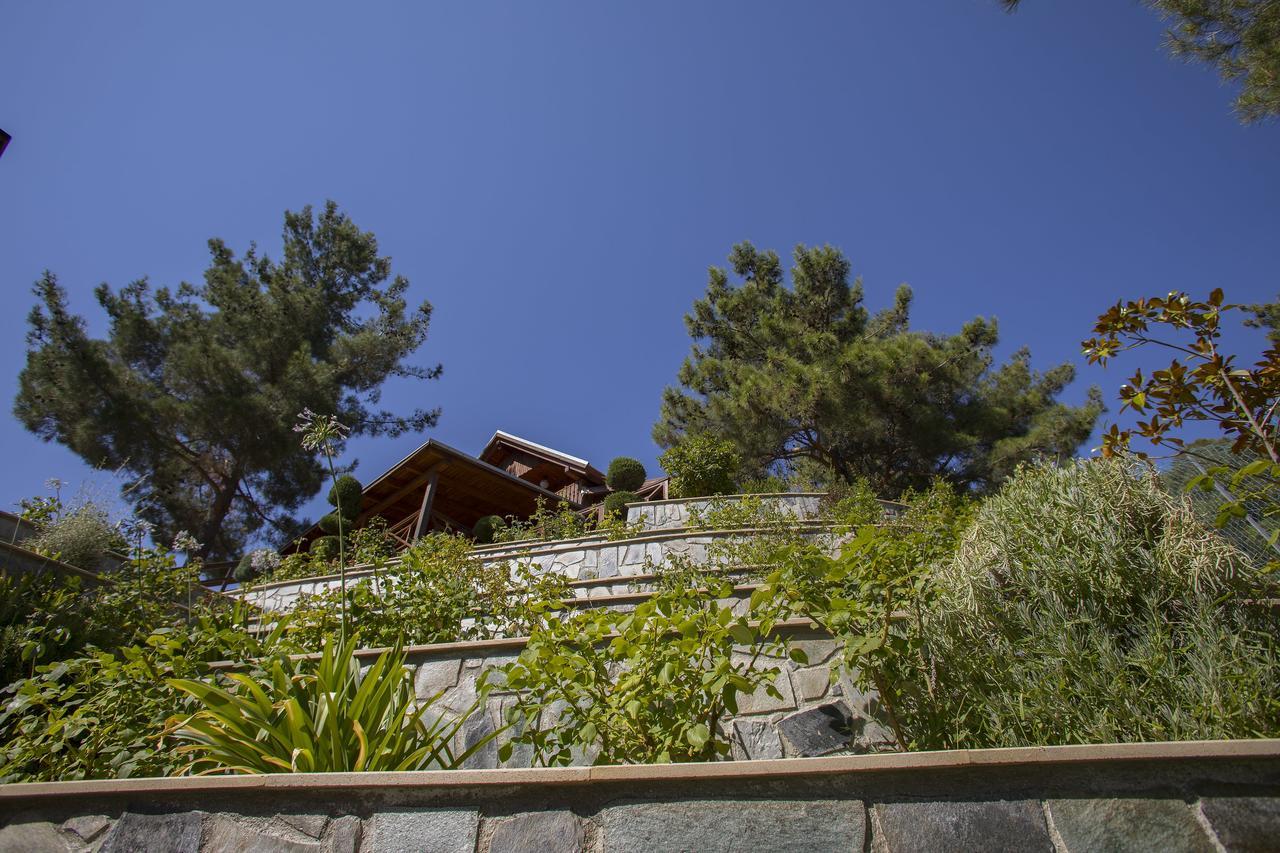 Ricky Chalet Near Troodos Spilia Eksteriør bilde