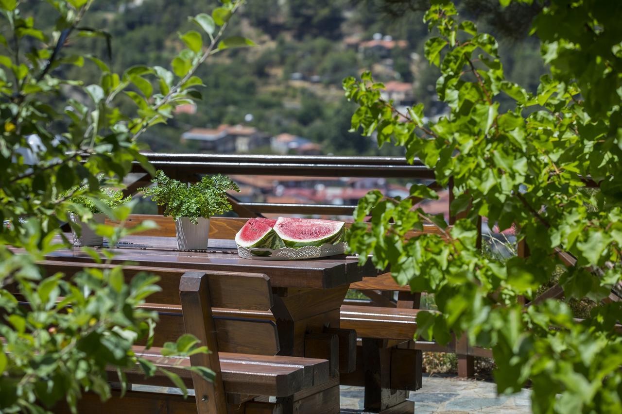 Ricky Chalet Near Troodos Spilia Eksteriør bilde