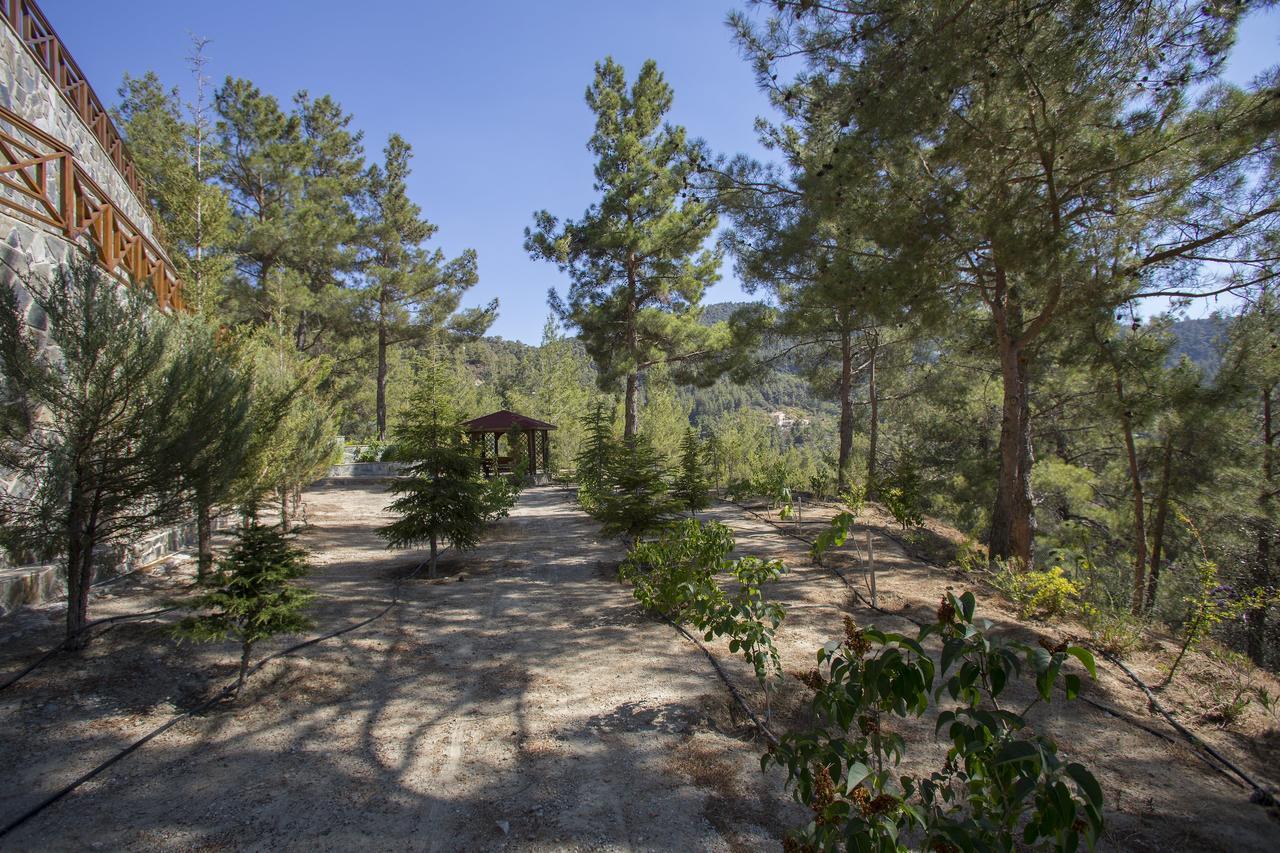 Ricky Chalet Near Troodos Spilia Eksteriør bilde
