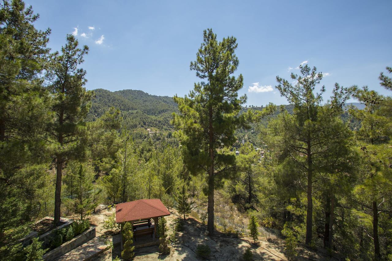 Ricky Chalet Near Troodos Spilia Eksteriør bilde
