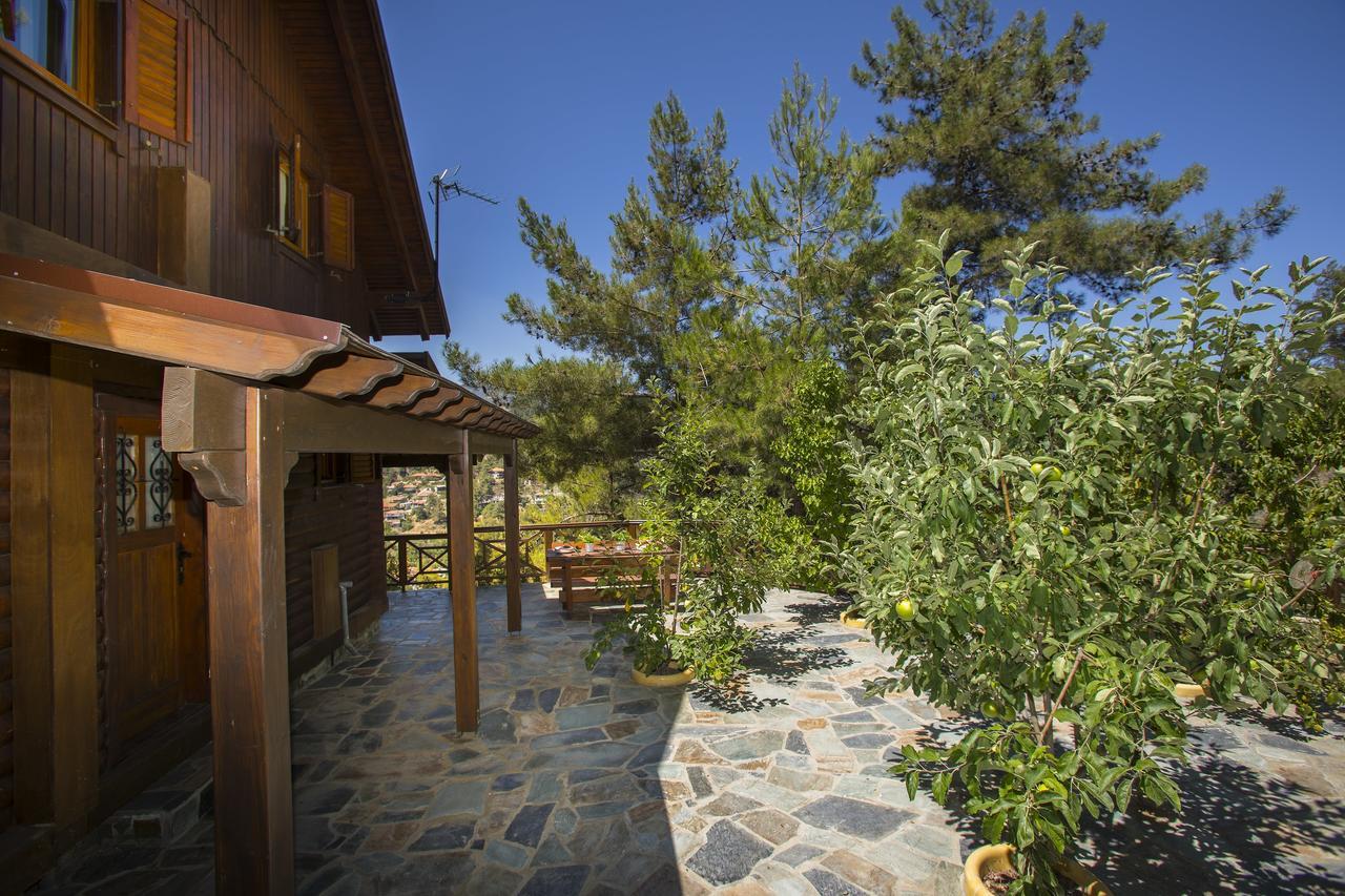 Ricky Chalet Near Troodos Spilia Eksteriør bilde
