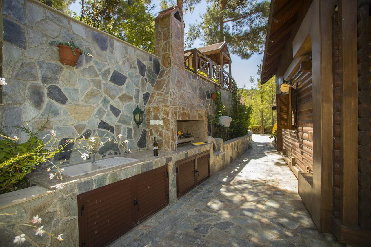Ricky Chalet Near Troodos Spilia Eksteriør bilde